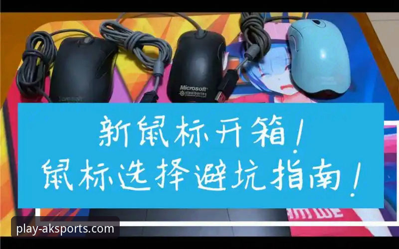AK体育APP安装包使用技巧：新旧版本功能对比与选择指南
